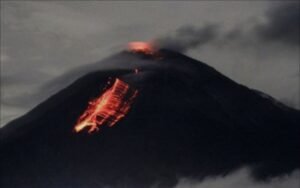 Screenshot_2025-11-21-11-58-12-106_com.android.chrome-edit